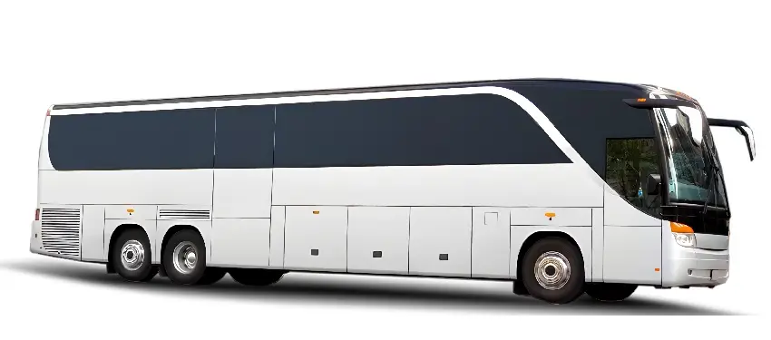 bus 56 passengers
